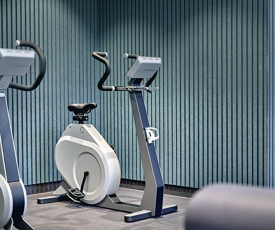 Mount Med Resort Fitness Loft Milon Bikes Wildschönau