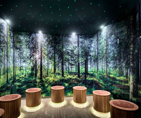 Mount Med Resort Forest Clearing Steam Room Wildschönau