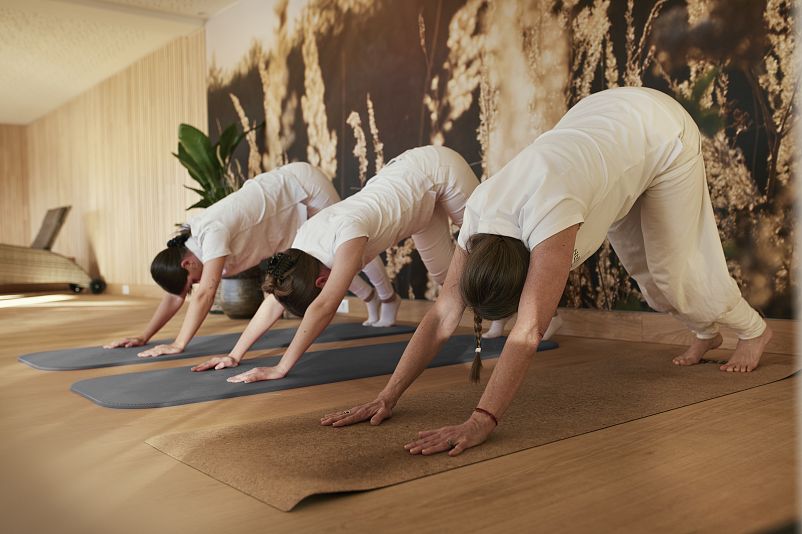 Hotel DEIMANN_Sauerland_hotelsINshape-best fitness hotels_BjoernLuelf_high_2023_YogaGrau23923.jpg