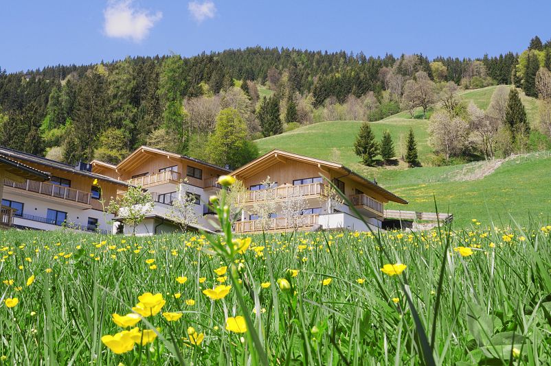 Mount Med Resort Chalets in Spring Wildschönau Tyrol