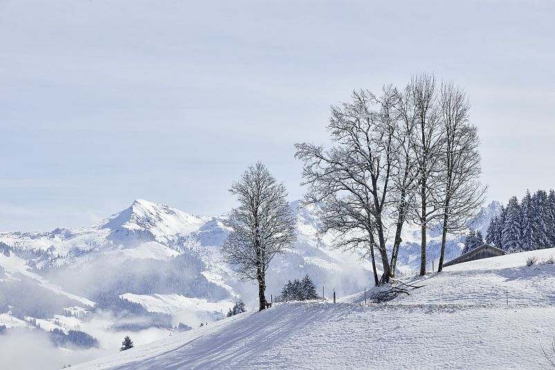 Mount Med Resort Winter mhr24_0419 (c) Michael Huber Photography.jpg