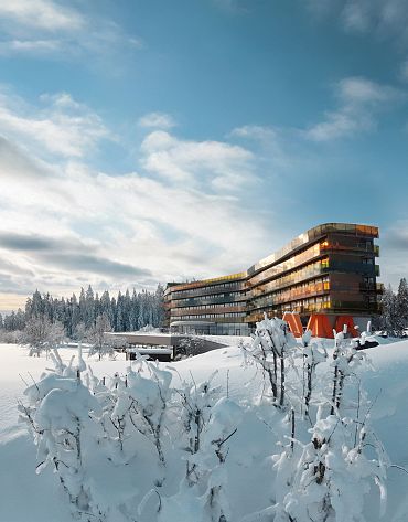 Hotel AVIVA make friends